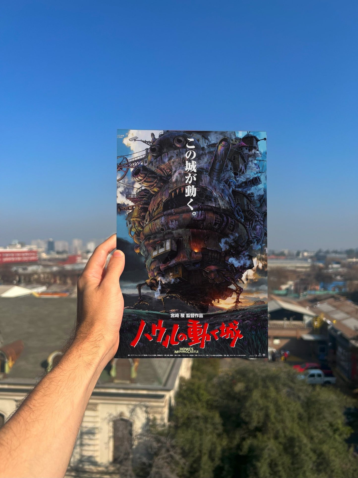 Cuadro metálico - El castillo ambulante - Monotono