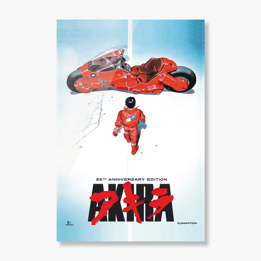 Cuadro metálico - Akira - Monotono