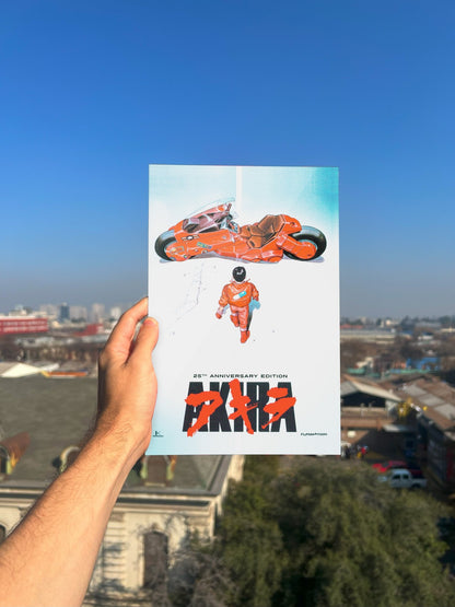 Cuadro metálico - Akira - Monotono