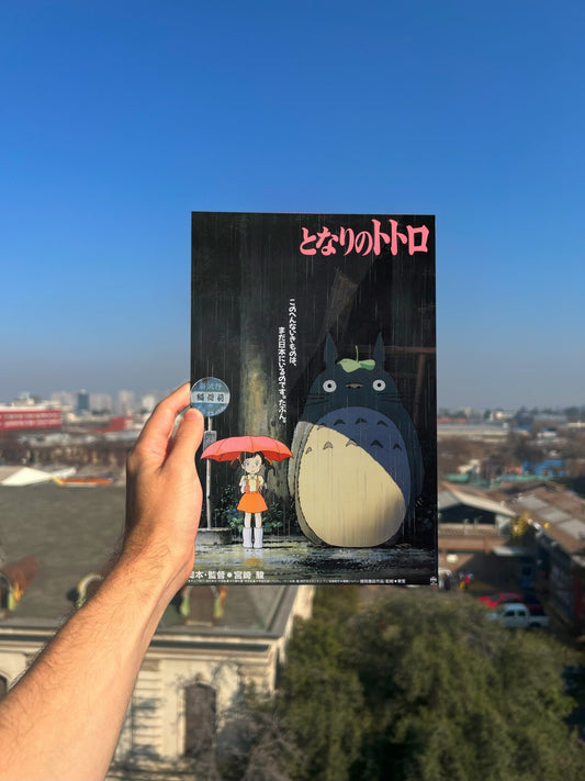 Cuadro Metálico - Mi vecino Totoro - Monotono