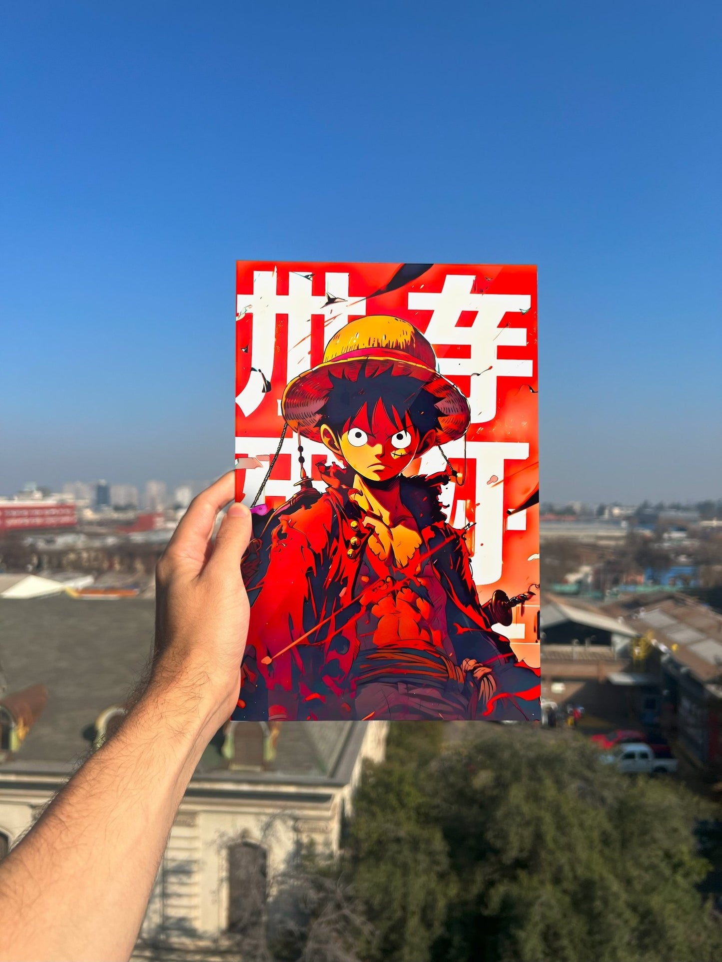 Cuadro metálico - One Piece - Monotono